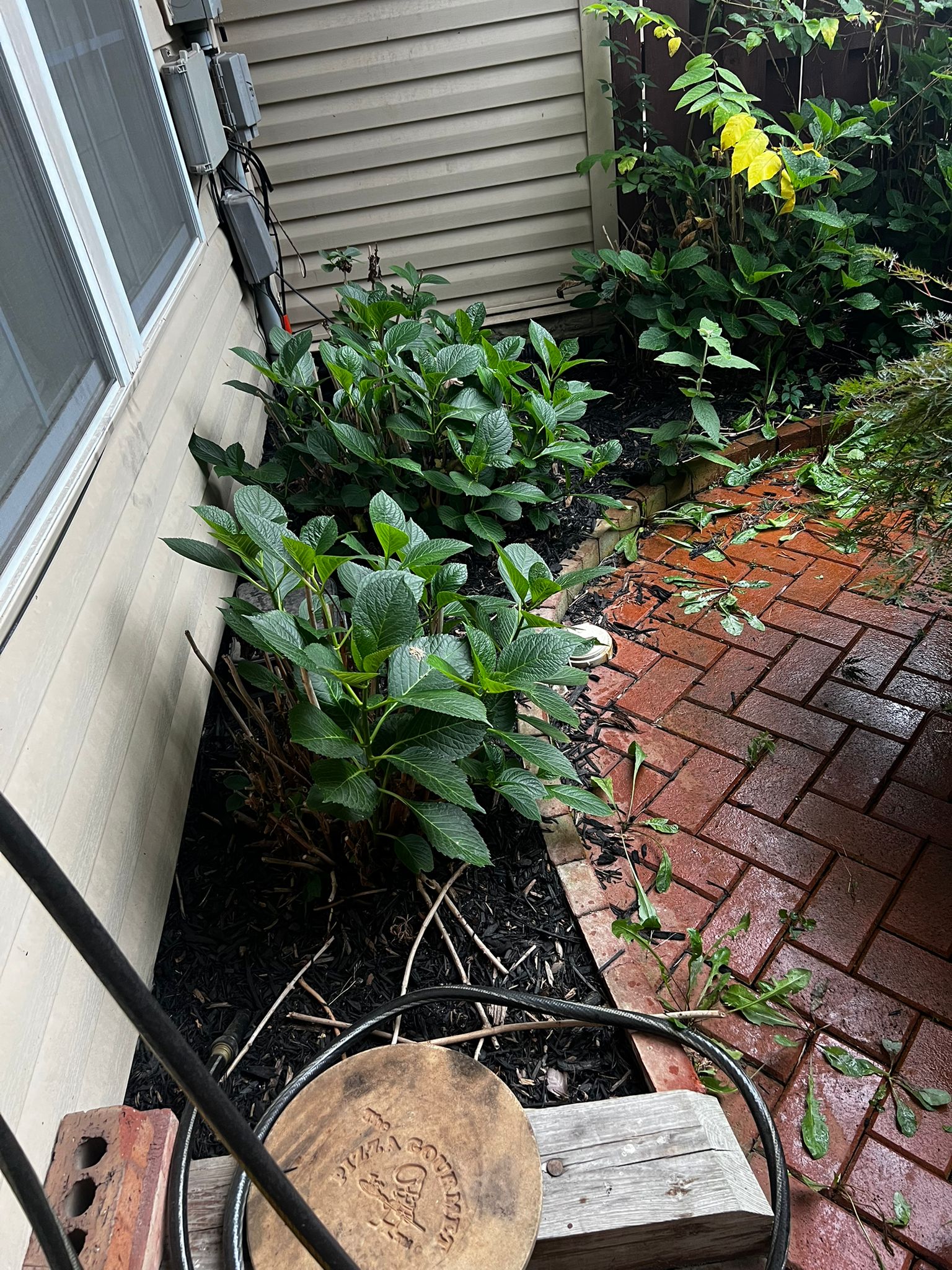 After - Landscasping